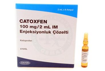 CATOXFEN 100 mg / 2 ml IM enjeksiyonluk çözelti 6 ampül kutu görseli
