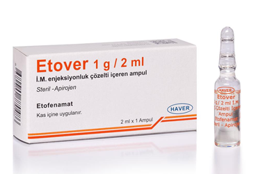 ETOVER 1 G/2 ml IM enjeksiyonluk çözelti içeren ampül kutu görseli