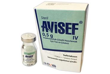AVISEF 0.5 G IV enjeksiyonluk çözelti hazırlamak için toz ve çözücü (1 flakon+ 1 çözücü ampül) kutu görseli