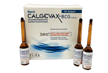 CALGEVAX-BCG 11.25 mg INTRAVEZIKAL enjeksiyon için liyofilize toz içeren 10 ampül kutu görseli