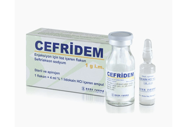CEFRIDEM 1 gr I.M. enjeksiyon için toz içeren flakon kutu görseli