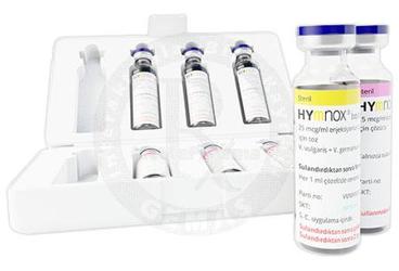 HYMNOX 25 mcg/ml + 100 mcg/ml enjeksiyonluk çözelti için toz ve çözücü (başlangıç) VESPULA kutu görseli