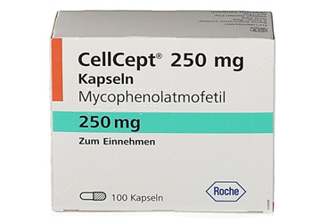 CELLCEPT ROCHE 250 mg 100 kapsül kutu görseli