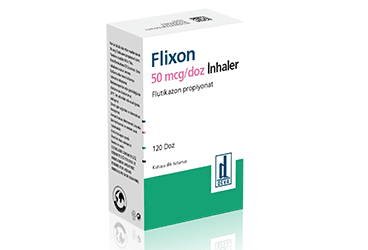 FLIXON inhaler 50 mcg 120 doz inhaler kutu görseli