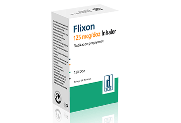 FLIXON inhaler 125 mcg 120 doz inhaler kutu görseli