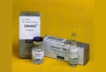 LINCOCIN 300 mg/ml steril çözelti içeren 1 flakon kutu görseli