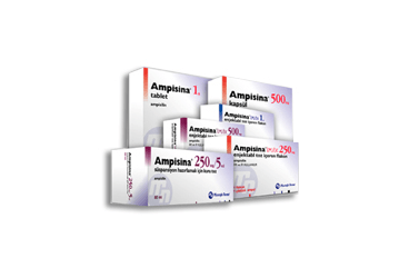 AMPISINA 500 mg 16 kapsül kutu görseli