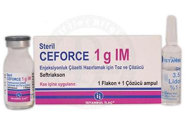 CEFORCE 1G IM enjeksiyonluk çözelti hazırlamak için toz ve çözücü kutu görseli