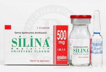 SILINA 500 mg 1 flakon kutu görseli