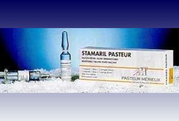 STAMARIL PASTEUR (sarı humma aşısı) 0.5ml 1 enj. 1 doz kutu görseli