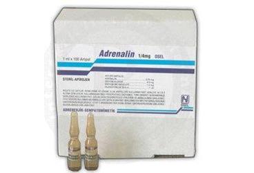 ADRENALIN 1/4 mg BIOSEL 1 ml x 100 ampül kutu görseli