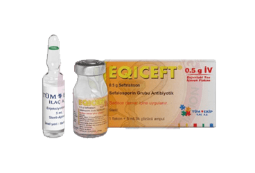 EQICEFT- IV 500 mg 1 flakon kutu görseli