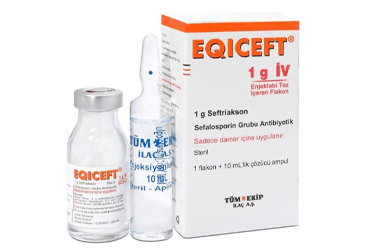 EQICEFT- IV 1000 mg 1 flakon kutu görseli