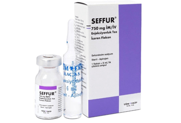 SEFFUR 750 mg/IV enjeksiyonluk toz içeren flakon kutu görseli