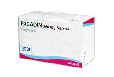 PAGADIN 300 mg 56 kapsül { Dinçsa } kutu görseli